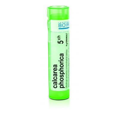 CALCAREA PHOSPHORICA CH5 GRA.4G