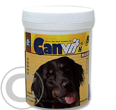 Canvit H Maxi 250g