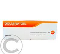 DOLMINA GEL  1X100GM Gel