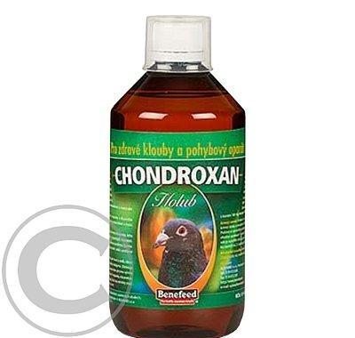 Chondroxan pro holuby 500ml