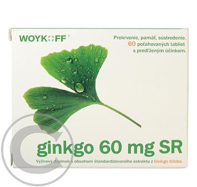 Ginkgo 60mg SR tbl.60