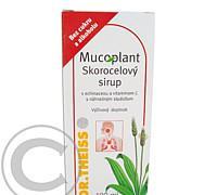 Mucoplant jitrocelový sirup bez cukru   echinacea 100 ml